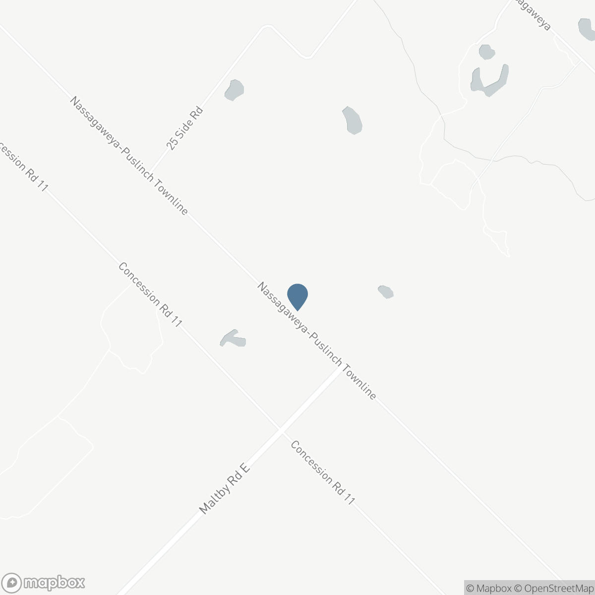 12601 NASSAGAWEYA PUSLINCH TLINE, Milton, Ontario L0P 1J0